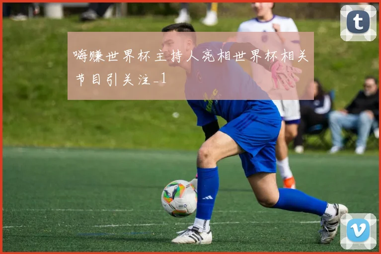 嗨赚世界杯主持人亮相世界杯相关节目引关注_1