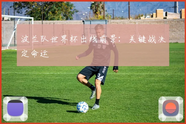 波兰队世界杯出线前景：关键战决定命运